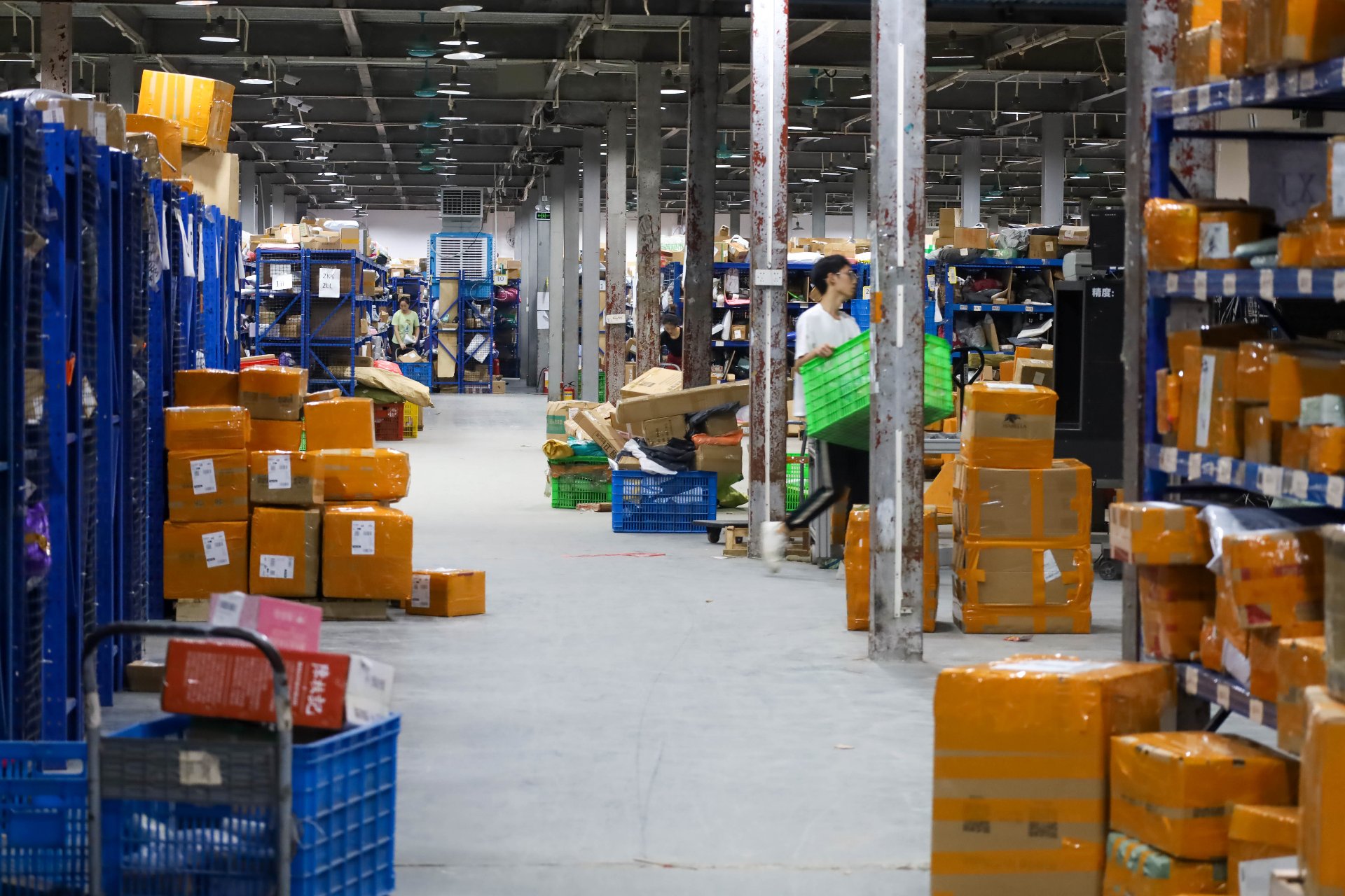 Daily Operations · Packing and dispatch in full swing